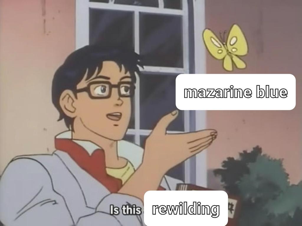 New lecture on the way.