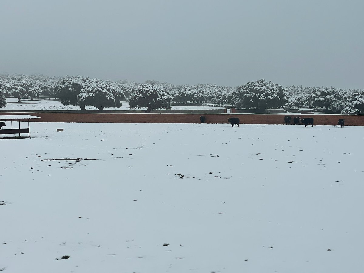 Así amanece el campo charro