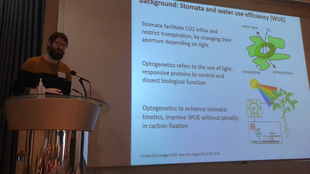 UKBRC's tweet photo. Jovaras Krasauskas @JohnInnesCentre how to control stomata aperture by regulating BLINK1 🌱🌱🌱 https://t.co/9Ipl9lMQJm