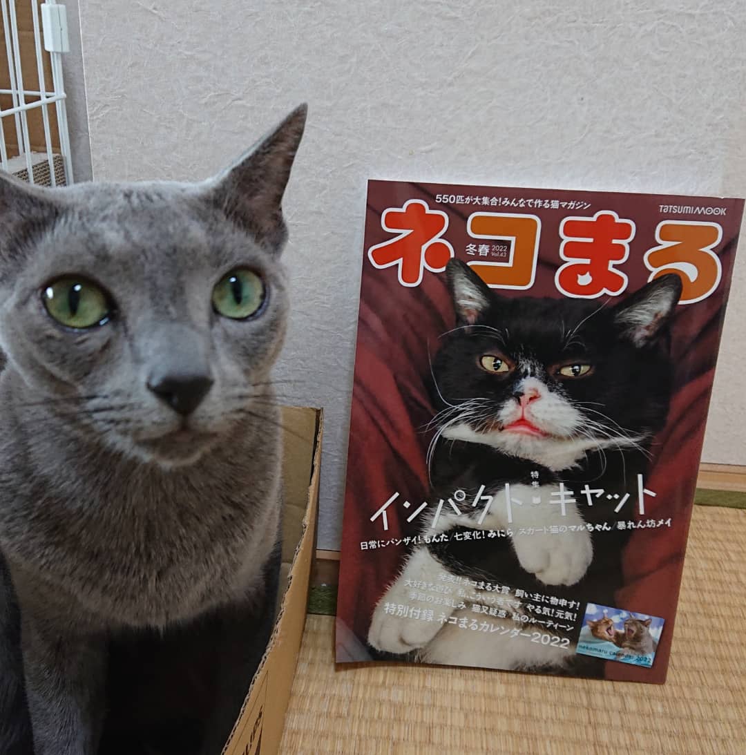 koppychan's tweet photo. https://t.co/XoCUP3uwgc
