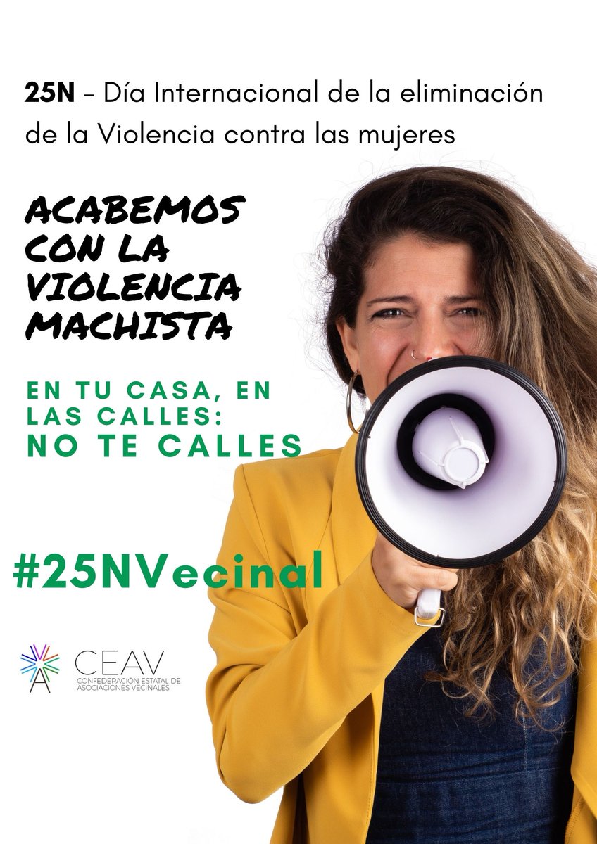 vecinalvall's tweet photo. Acabemos con la violencia machista:
En tu casa, en las calles: No te calles. 
@VecinalCeav @MujerVecinal 

#25NVecinal https://t.co/GQnJSyd8L0
