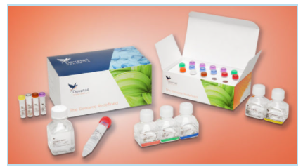 DTGenomics's tweet photo. DYK, @DTGenomics Micro-C uses #MNase to digest #chromatin prior to #proximityligation, generating ultra-high-resolution 3D #genome architecture mapping. Click here to learn more: https://t.co/Ns986jEzz7 #MicroC #genomics https://t.co/KeovEoFEJq