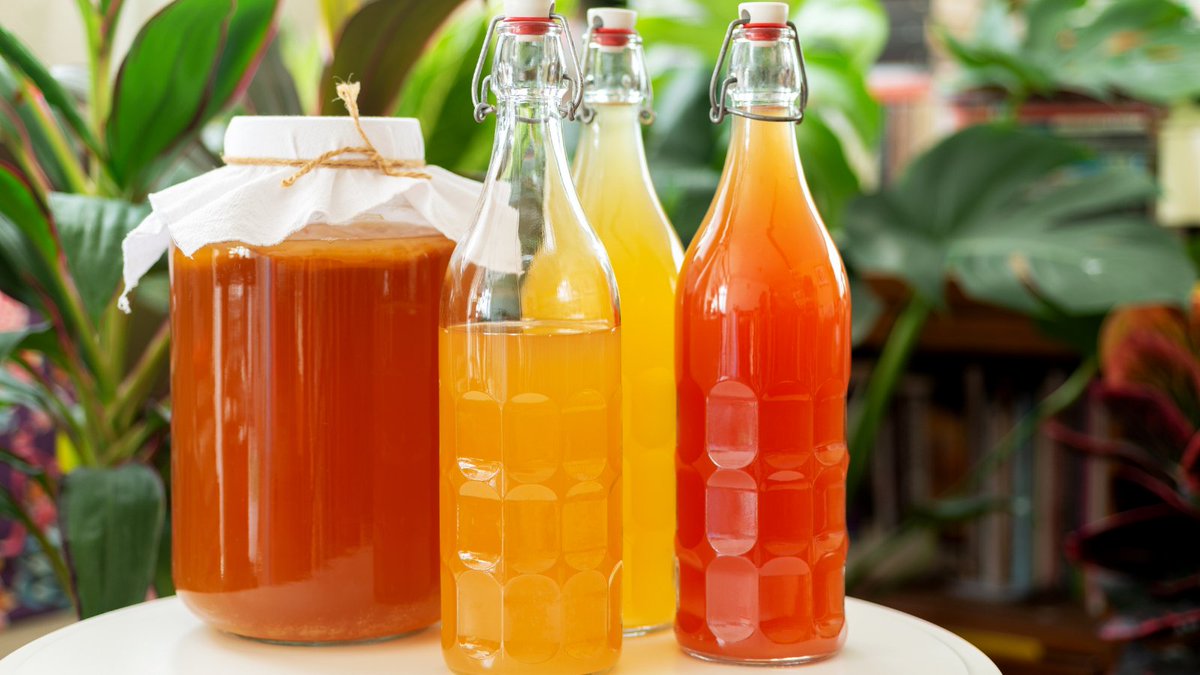 Making Kombucha is easier than you think.

mrowl.com/user/michaelim…

#Kombucha #DrinkRecipes #Recipes