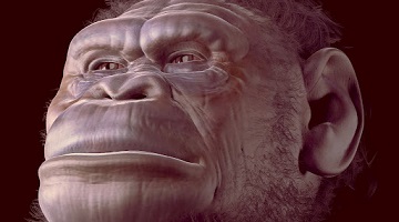 Liverpool John Moores University tweet media