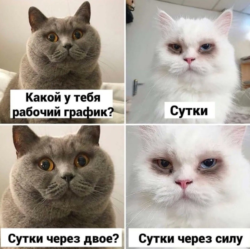 Социофоб (@socium_hate) on Twitter photo 