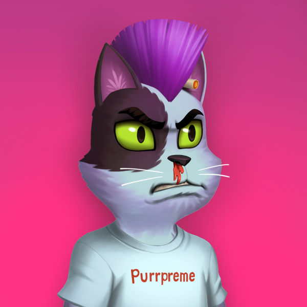 recived my Kitty today and love it. if you also wanna get one: Want some NFT Airdrop? 🎁

1️⃣ Follow <a href="/HypeKittyNFT/">Hype Kitty</a>

2️⃣ RT &amp; Tag 3 friends

3️⃣ Discord -> Drop your wallet on FREE AIRDROP CHANNEL: discord.gg/Kt62nhCMDK

#freenfts #nfts #nftart #nftartist #nftgiveaway #nft