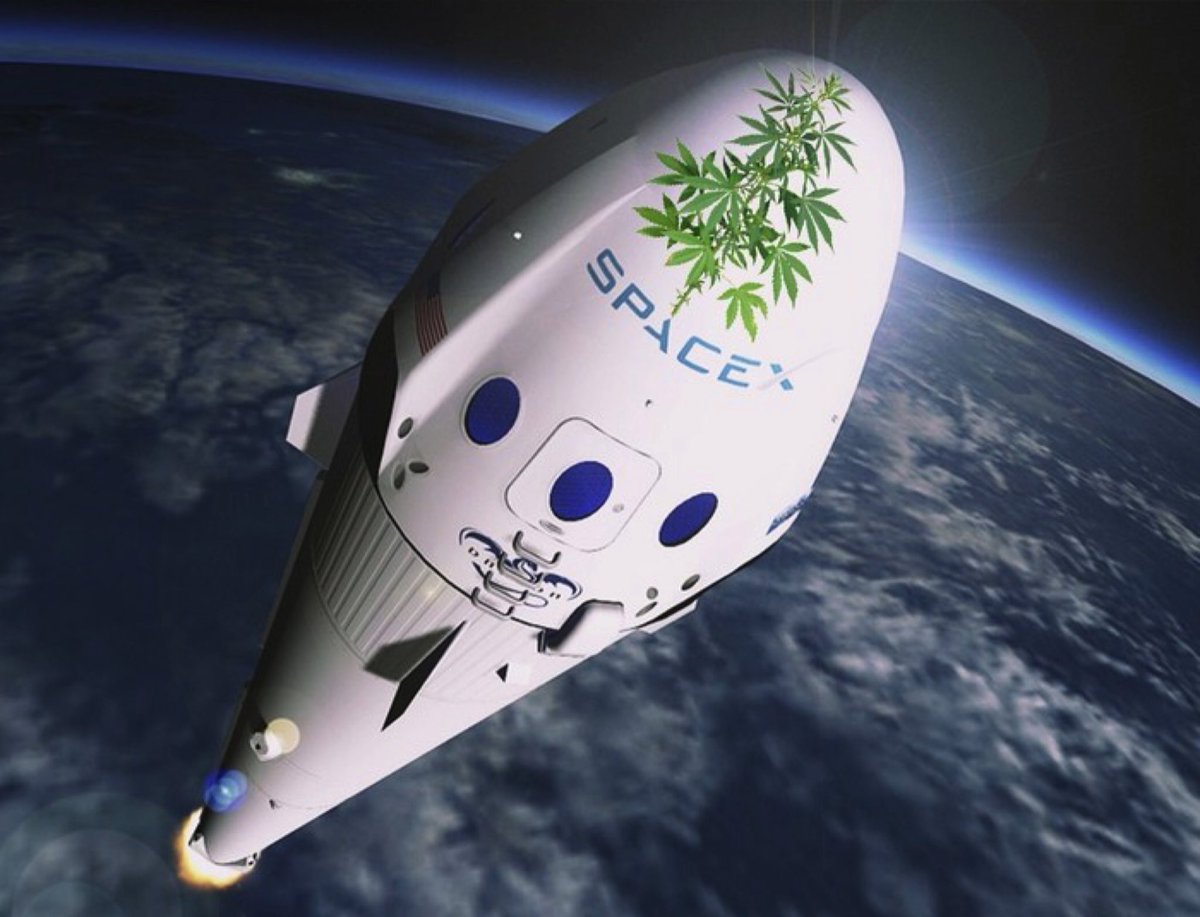 Congratulations to the first holders 😎
Next phase of 420K #XCannabis is waiting for you 

Thank you for your trust and support 😚💨 

Want to know about our future plans and #airdrop ?