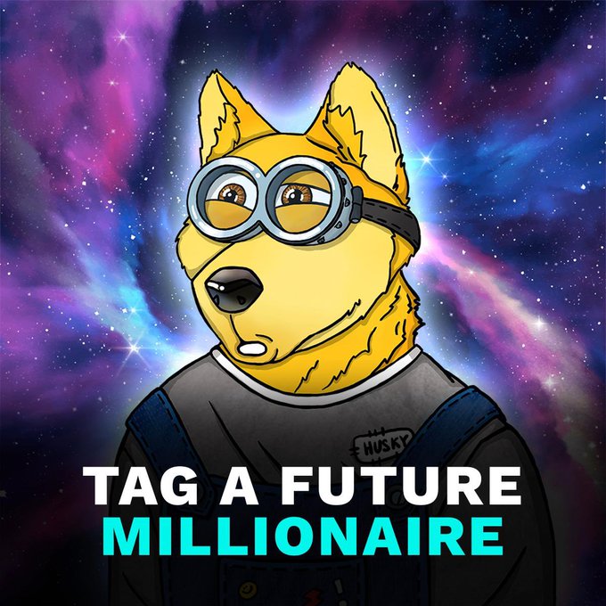 Check out @HypedHuskyNC and there discord link https://t.co/d4pmUqr1yk #paidpromo https://t.co/JHvfN