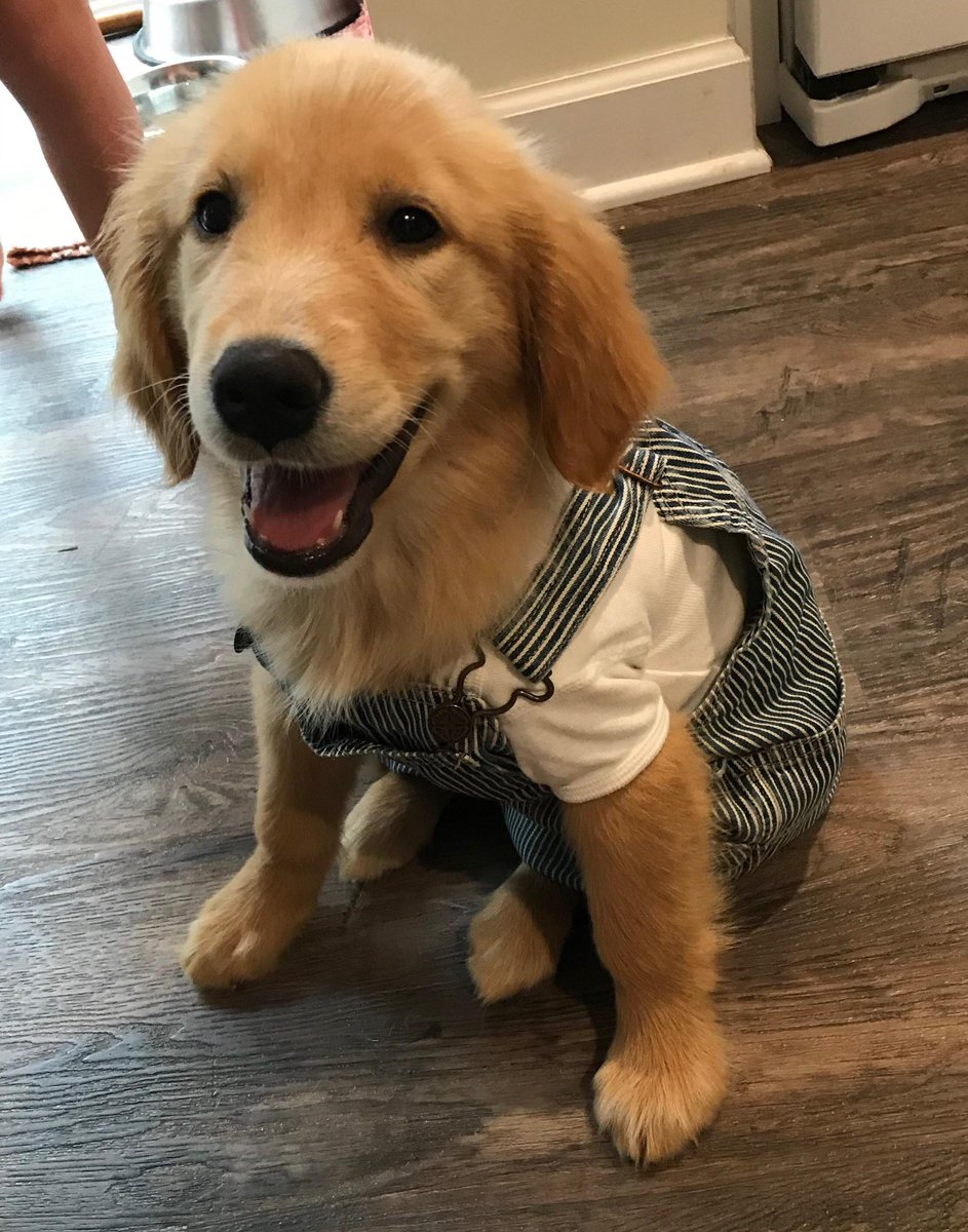 dogboyryding's tweet photo. https://t.co/zxquwLfnji