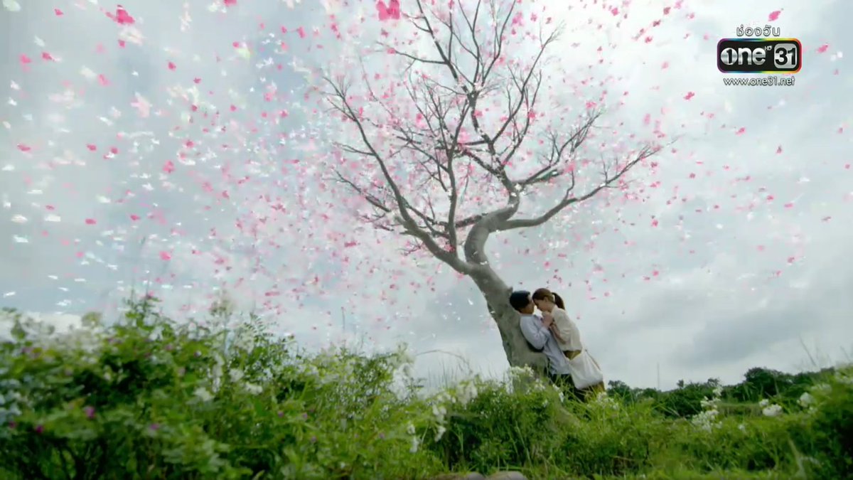 MAIPJN31's tweet photo. ฉากต้นไม้ภาพก็คือสวยงาม  ยังกะซี่รี่ย์เกาหลี แต่ใดๆยังยืนยันคำเดิมว่าริชชี่แค่อยู่เฉยๆก็คือสวย #พระจันทร์แดงEp8 https://t.co/aez6t4p3e1
