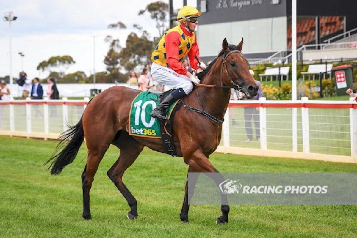 rohanjhughes's tweet photo. Back with a Bang! Rose Quartz makes it 2 from 4 on resumption today at Geelong. Super training performance from @Grahame_Begg along with his Caulfield team. Great ride @mickdee020 Special congrats to a large owner group who have been very patient and a pleasure to look after. https://t.co/zZRVZ5E7Zq