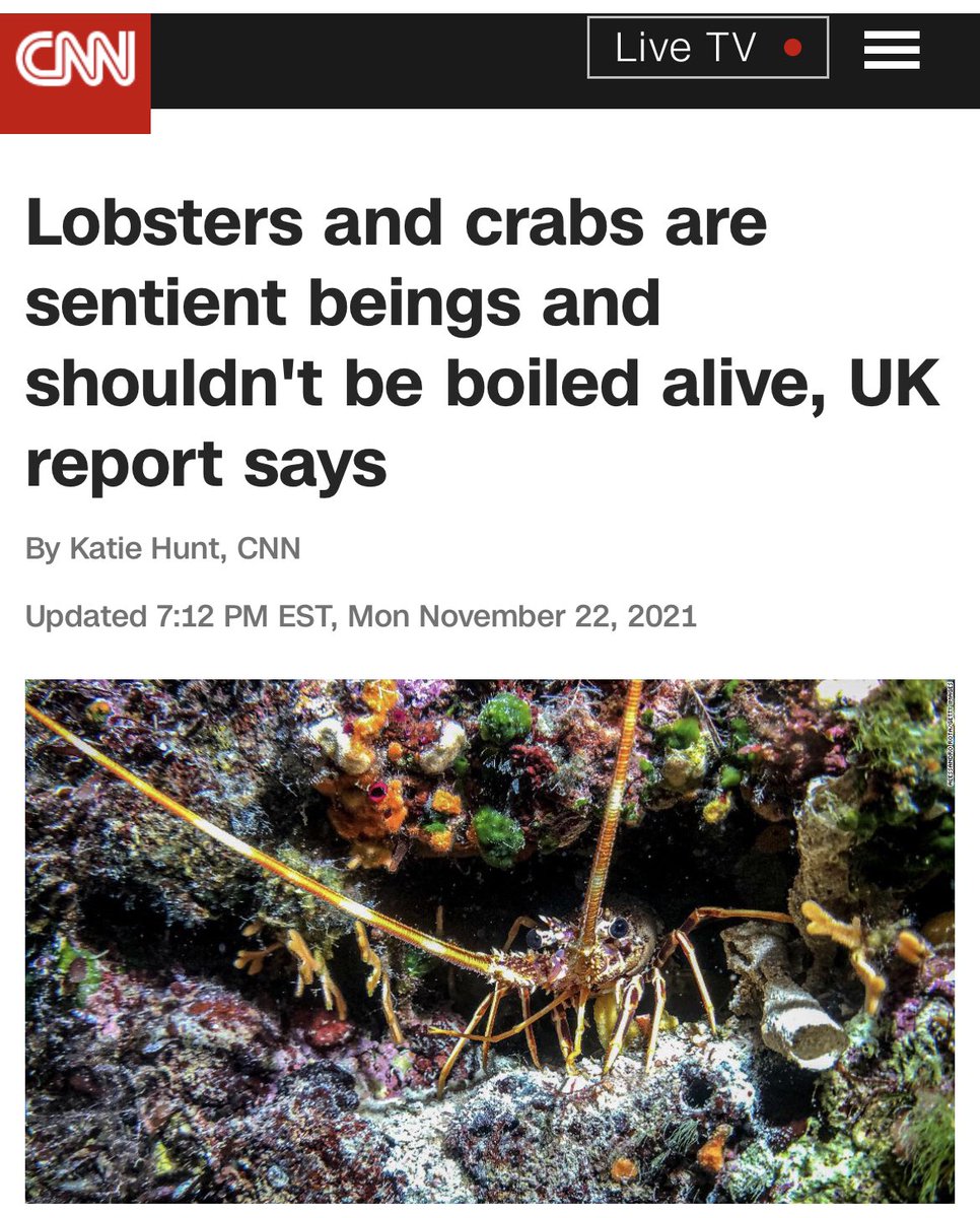 Neha Tiwari tweet media