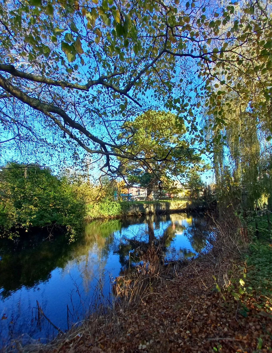 #Cork

A river runs through it... 💙

#LoveTheLee #NaturePhotography