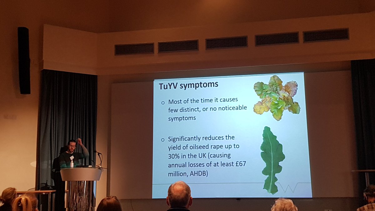 Kyle Macleod <a href="/warwickuni/">University of Warwick</a> is presenting work on new resources of resistance to TuYV from Brassica species and their introgression into oilseed rape