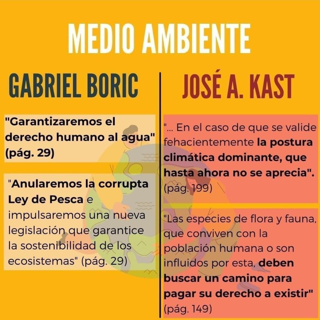 ✊🏼🌳 #BoricPresidente #Gabrielnosune