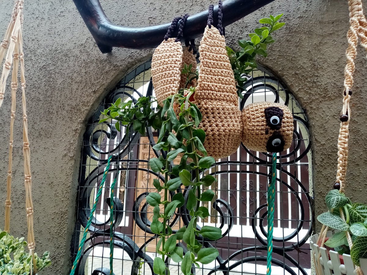 PatiDBlacio's tweet photo. ¡Auxilio! hay unos intrusos entre mis plantas 🤭🤭 #lovemacrame @PattyAviBoom @RonPeper @narcymaya2 @Fran_9na_cuenta https://t.co/O4lGTdYd4R