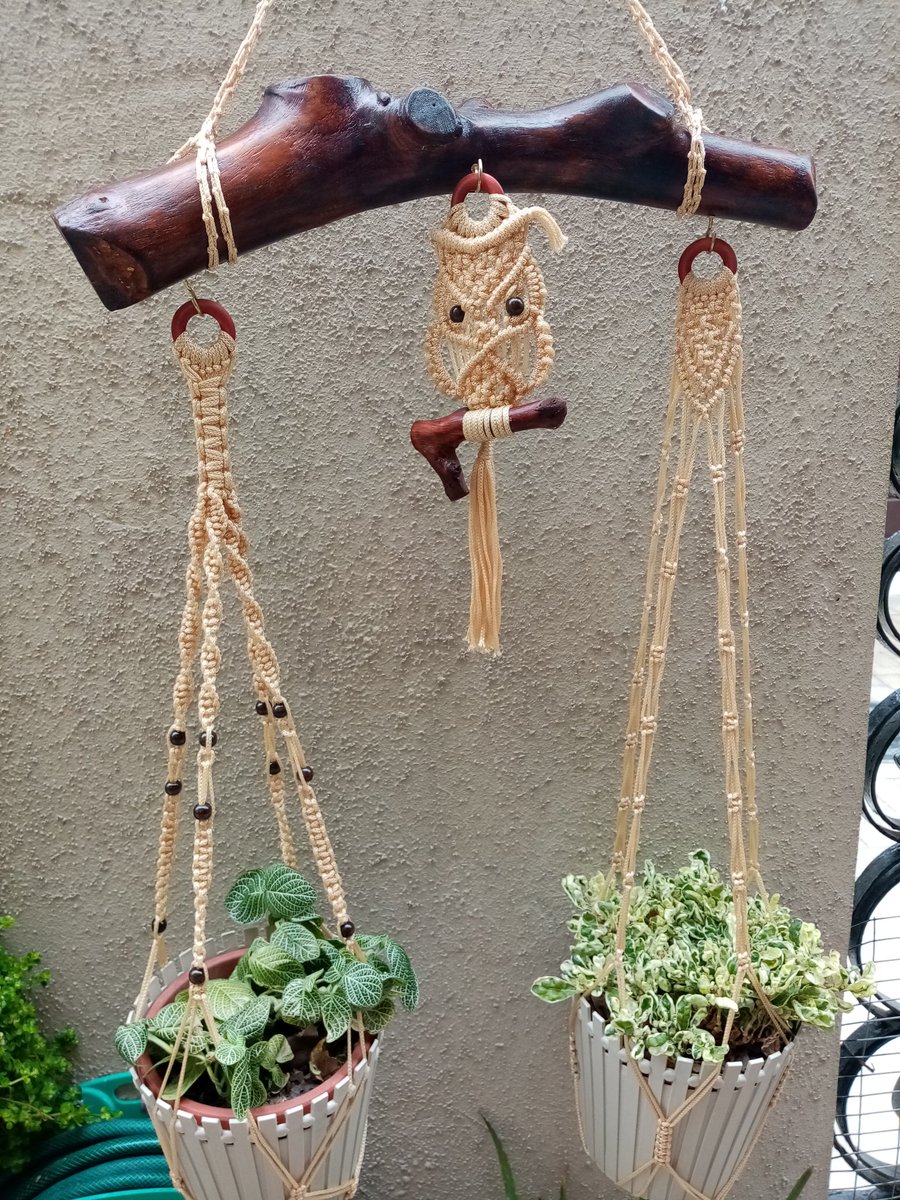 PatiDBlacio's tweet photo. ¡Auxilio! hay unos intrusos entre mis plantas 🤭🤭 #lovemacrame @PattyAviBoom @RonPeper @narcymaya2 @Fran_9na_cuenta https://t.co/O4lGTdYd4R