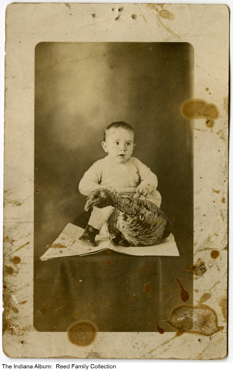 INarchivist's tweet image. It's almost that time again so saddle up your turkeys and enjoy your #Thanksgiving to the fullest! 🦃 #ThanksgivingWeek #TurkeyTime #INarchivist
Photo courtesy @IndianaAlbum ia-0407-0004.