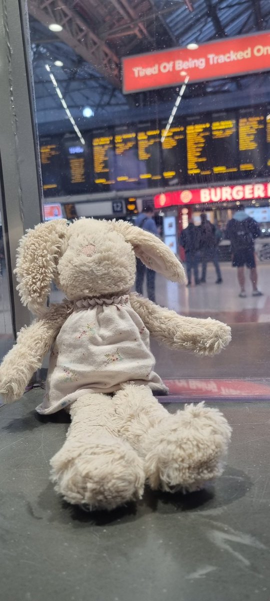 CathyMarima's tweet photo. Someone might have a difficult time sleeping tonight, bunny fell at Victoria Station. How do we get her back to her owner...❤😭 https://t.co/1B1AnngbjQ