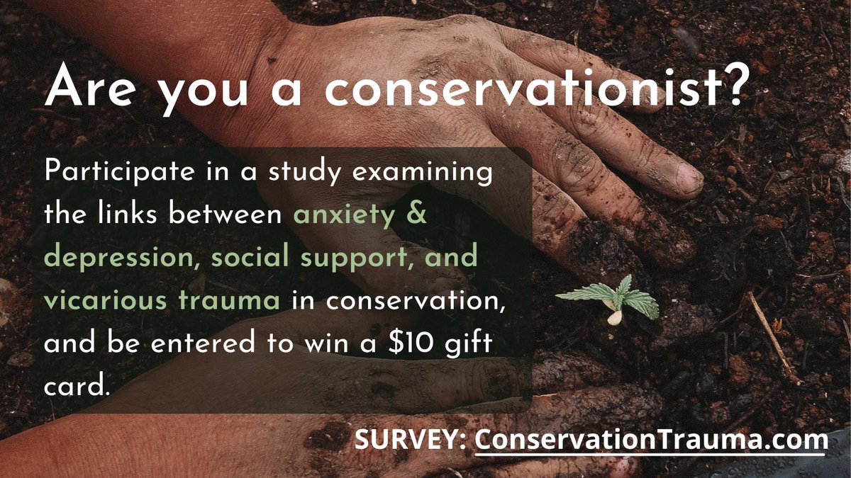 BRSawrey's tweet photo. Vicarious trauma in conservation:
How do the people around you help you deal with seeing the loss of nature? Help us understand your experiences and what might help your colleagues by taking this survey: https://t.co/ine7oODaro https://t.co/j33zVQQAEY