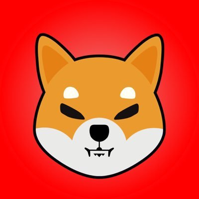 Shibainform's tweet photo. #NewProfilePic https://t.co/nllHSFMfID