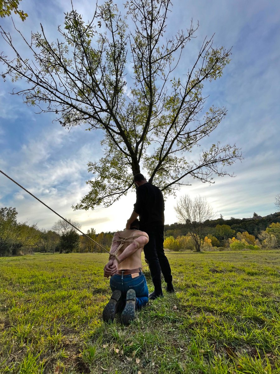 Harmony

⛓ : @Sensei___13