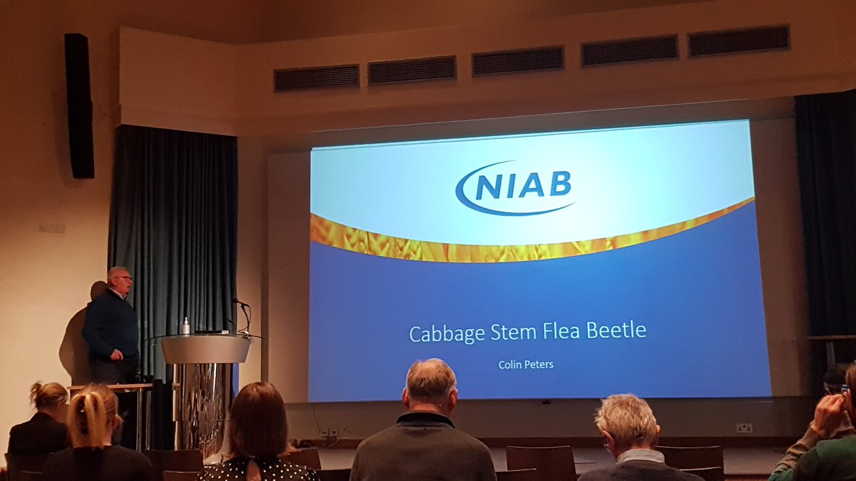 Colin Peters @NIABEMR is giving a talk on Cabbage Stem Flea Beetle