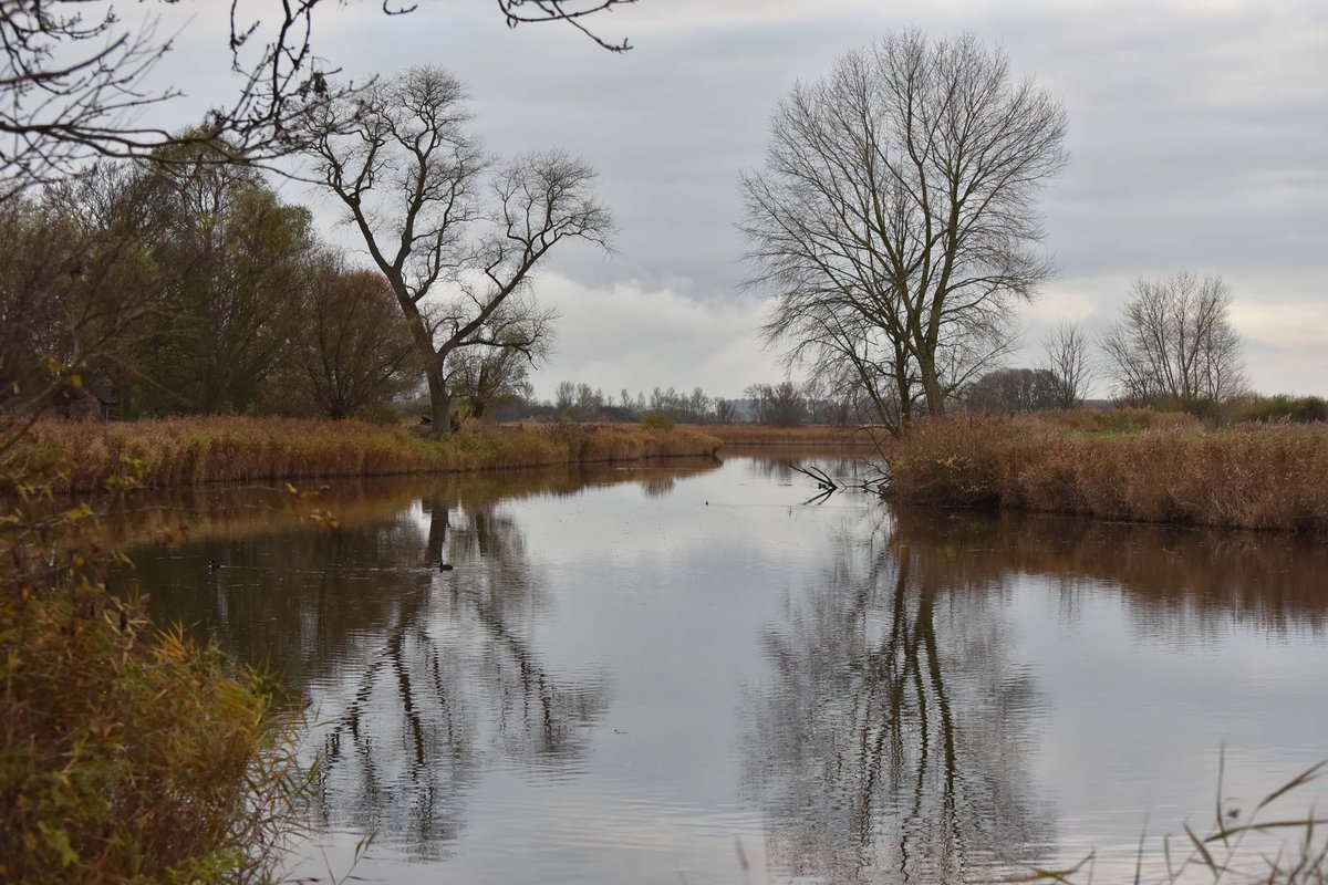sjaakvandersalm's tweet photo. Herfst stilte. https://t.co/89QomZceFb