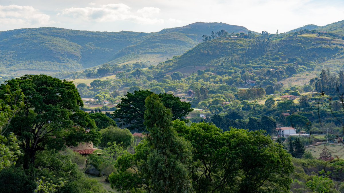 “Pay attention to the things you are naturally drawn to. They are often connected to your path, passion, and purpose in life. Have the courage to follow them.” - Ruben Chavez