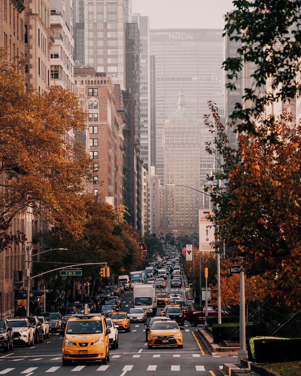 joethomasphoto's tweet photo. Fall on Park Avenue https://t.co/Iu5bKFhgtG