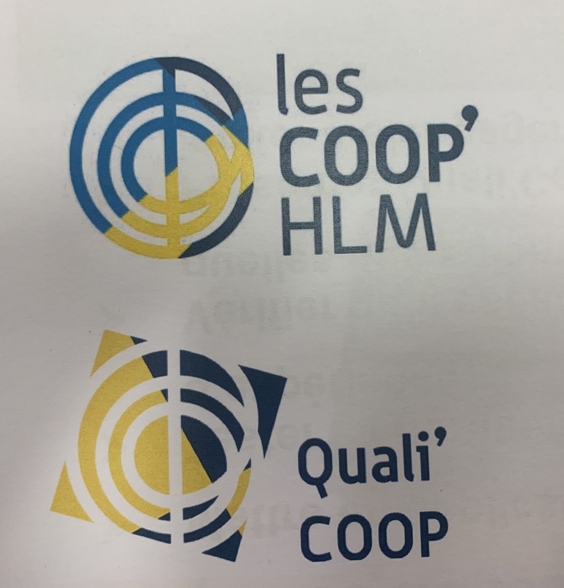 Rousselcec54's tweet photo. #batigeremaisonfamiliale #batigere #coophlm #qualicoop
Aujourd’hui première réunion de travail des équipes de BMF pour définir nos engagements #qualicoop en lien avec la raison d’être des coopératives HLM. https://t.co/FHplyEaZHs