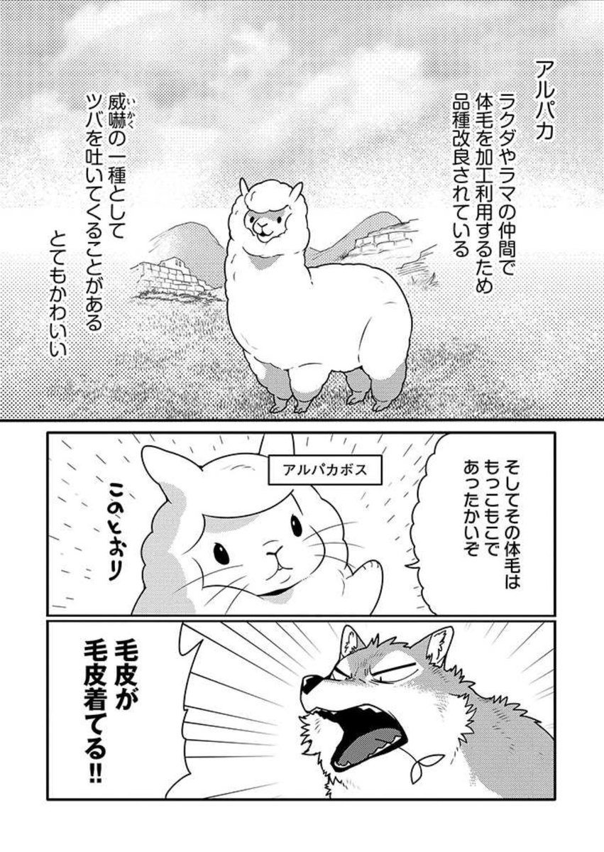 うさぎは正義133話更新されました
https://t.co/GFHf9QtCpJ 