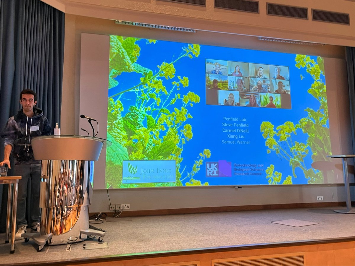 Sam Warner from John Innes Centre has talked to us about ‘Role of bud dormancy in flowering time control in winter oilseed rape and its association with yield stability’. Warming during bud dormancy is associated with low yield!