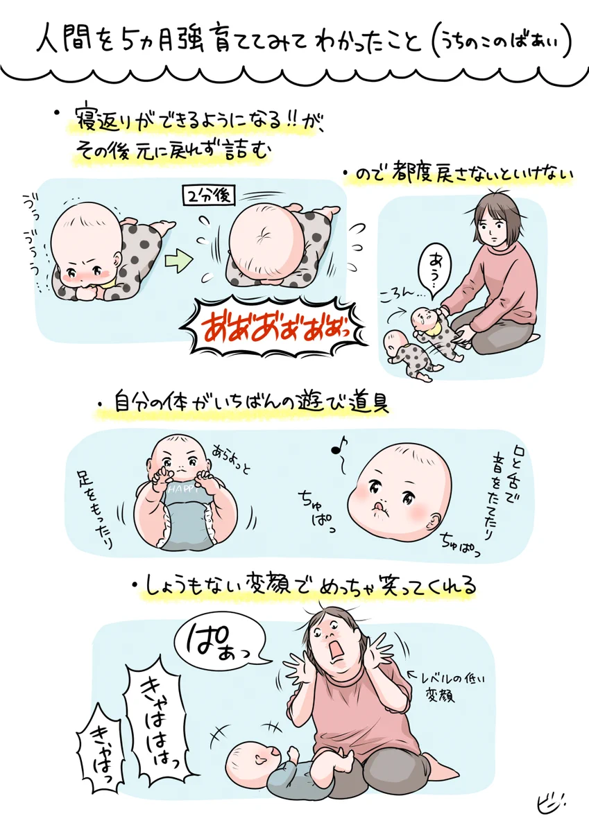子育てあるある？人間を５ヶ月強育ててみてわかったこと！