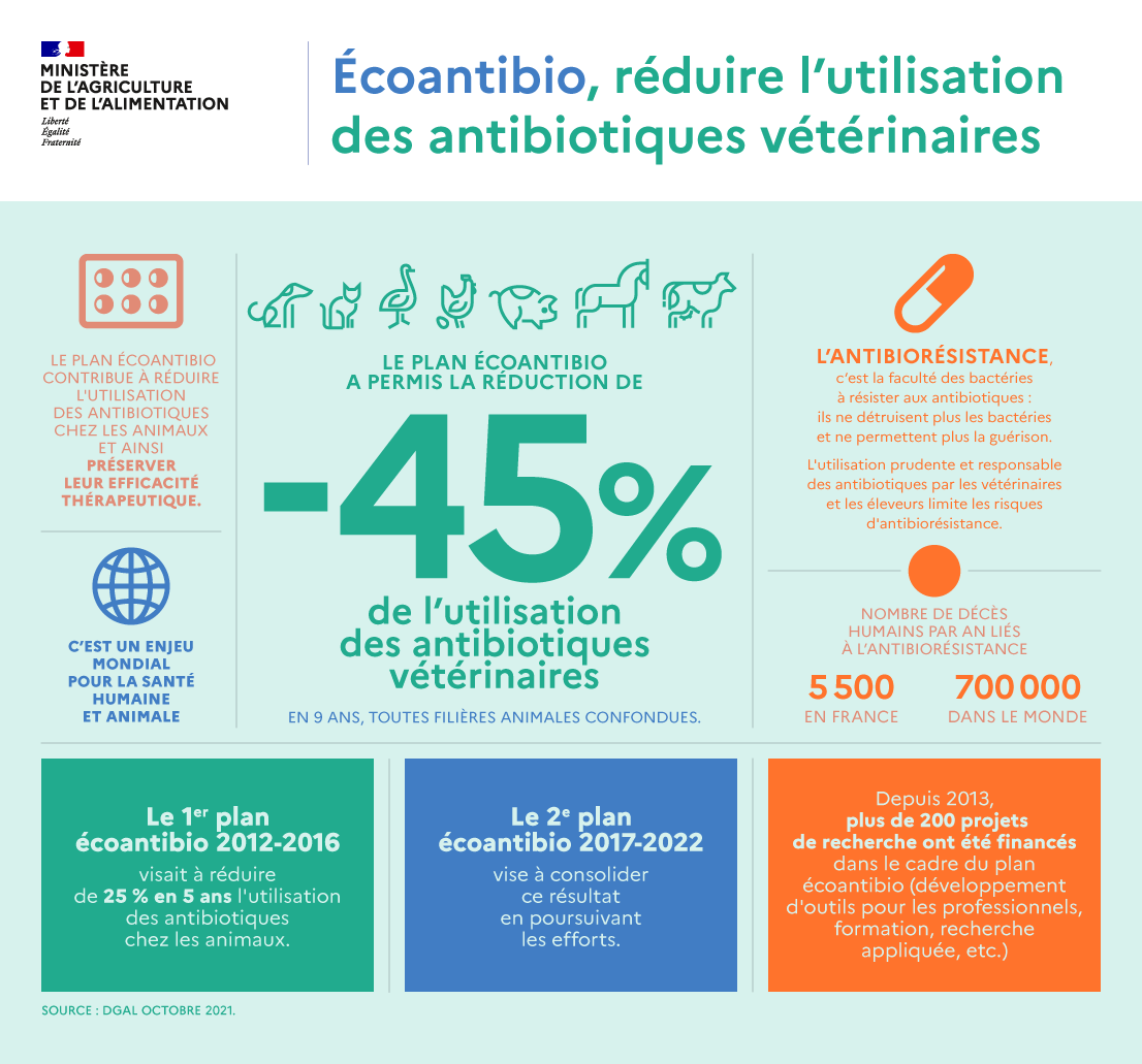 OrdreVet_France's tweet photo. @Agri_Gouv communique sur le plan Écoantibio 2 pour maintenir la mobilisation de tous sur le bon usage des antibiotiques #vétérinaires. La biosécurité, la vaccination et le bien-être animal sont privilégiés pour prévenir les maladies et l'usage des antibiotiques. https://t.co/57AvMQozIx