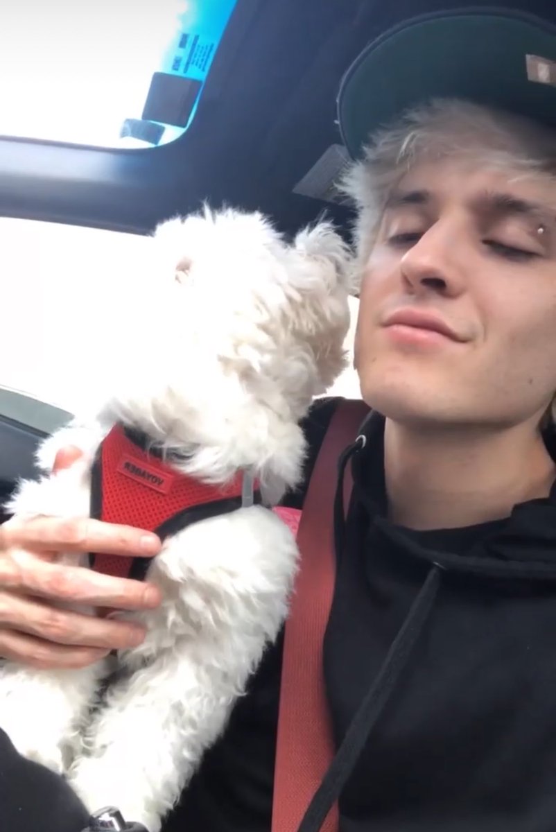 preciousfavs's tweet photo. #TextForChris, #Chris26Bday #HappyChrisDay @christophervele ❤ https://t.co/QbQ37Oez0X