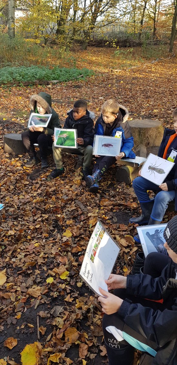 chris bingham tweet media