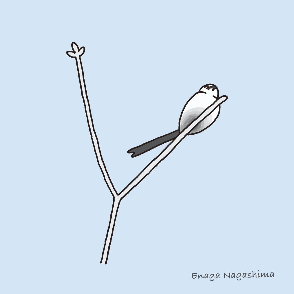 長嶋えなが エナガを探しました なかなか見つかりませんでした あきらめずに探したら 木の一番上の梢にエナガがいました 遠かったですが 見ることができて うれしかったです それでは おやすみなさい おやすみイラスト エナガ 習作 鳥