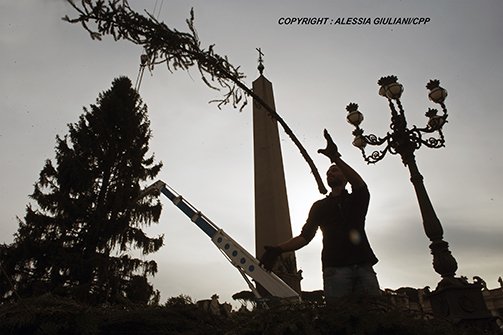 CppPress's tweet image. Italy, Rome, Vatican, 2021/11/23 Christmas tree, a 28-meter spruce tree, 
which was taken from the woods of Andalo in Trentino, Italy, during its 
installation in St. Peter&apos;s Square in the Vatican.
#alessiagiuliani 
#vatican #vaticano 
#christmastree 
#alberodinatale 
#stpeter