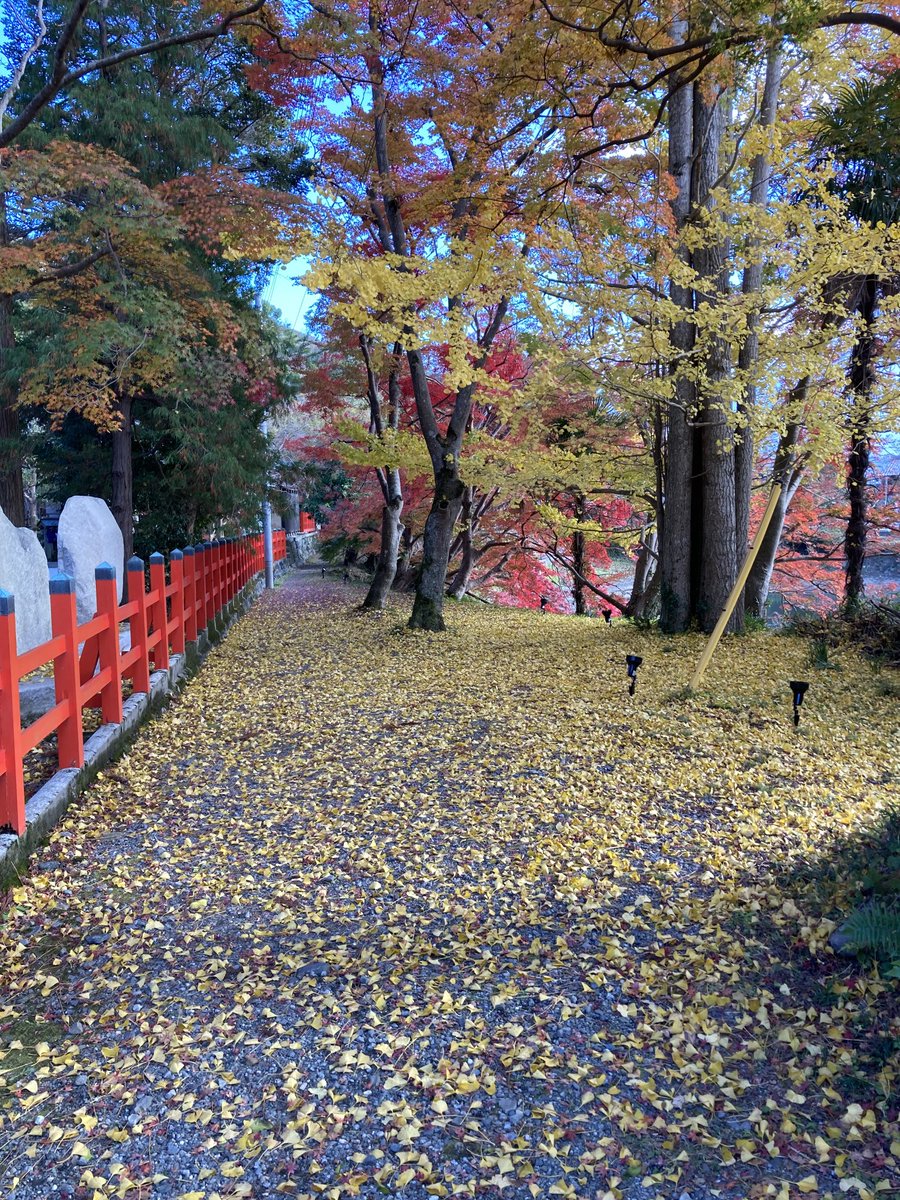ecofarm2's tweet photo. 晩秋 https://t.co/spajUUNAxa