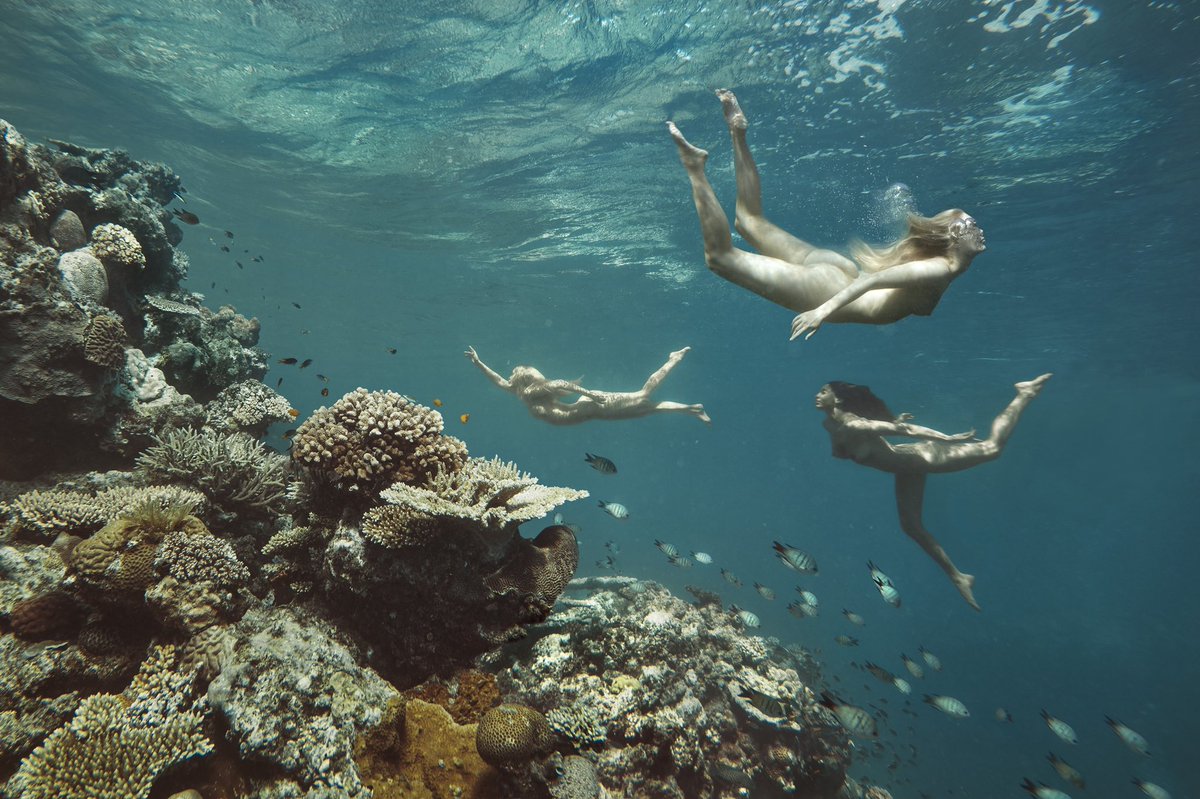 OceanLife #nftcollectors  <a href="/SuperRare/">SuperRare</a> Available soon!
Mermaids are real. Shot on location in The Great Barrier Reef 
#nftcollectors