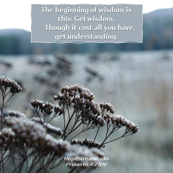 HopeStreamRadio's tweet photo. #dailyverse #versefortoday #Proverbs4v7 #wisdom #understanding #bewise #getwisdom #howtobewise What is the greatest piece of advice you have ever received? https://t.co/QADg2EB4M5