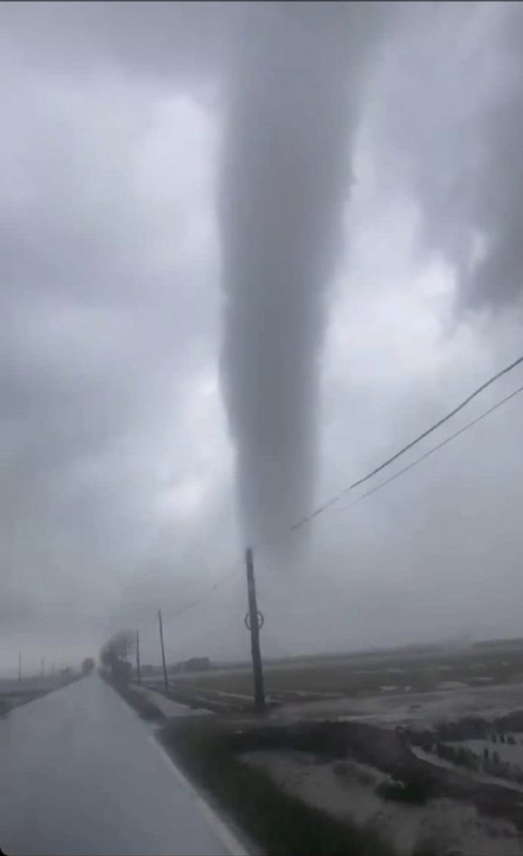 Pedregada entre Santa Barbara i Vinallop, al Montsià. Mànega a la carretera cap al Poble Nou del Delta. Me les han passat a un grup de whatsapp. No se qui les ha fet... <a href="/TomasMolinaB/">Tomàs Molina</a> @MeteoMauri <a href="/Monica_Usart/">Mònica Usart</a> <a href="/RaiLopezCalvet/">Rai López Calvet</a> <a href="/Berlustinho/">🐱</a>
