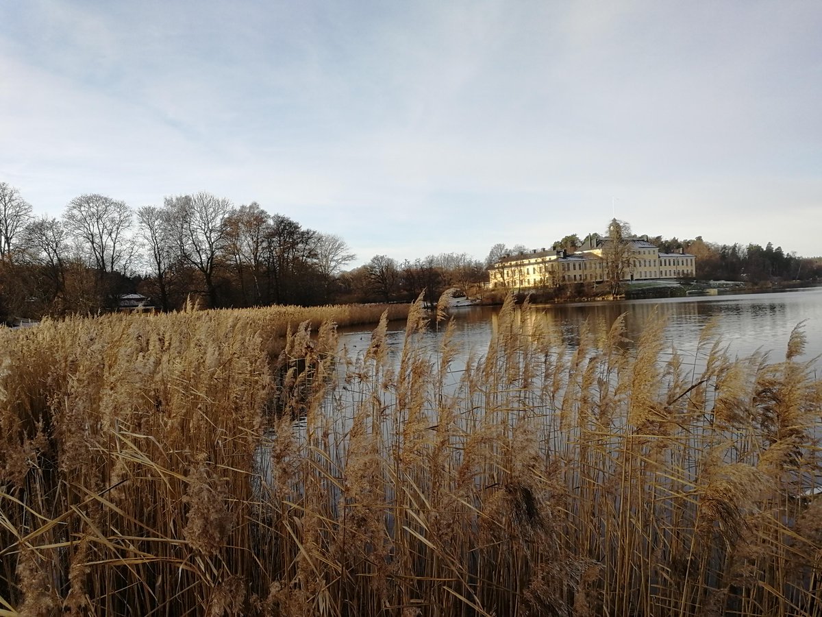 tern09's tweet photo. Soligt och lite kallt i #Ulriksdal idag. Is på Karpdammen och full fart på vår fågelmatning vid slottet. https://t.co/M3bNDH4wrX