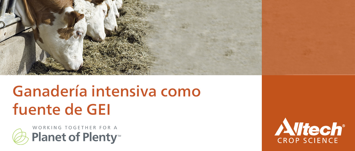 AlltechSpain's tweet photo. 🧑‍🌾La #GanaderiaIntensiva es responsable de la emisión del 14,5% de los GEI, que contribuyen al #CambioClimático

🐮En España, el sector ganadero emitió 69,4 millones de toneladas de CO2 en 2019.

👉La herramienta Alltech E-CO2 permite medir la huella de carbono en las granjas https://t.co/W9FaMg5trZ