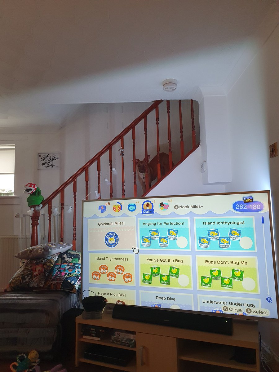 Just as well I looked up, waiting watching wondering if am gonna get up to get his lunch.