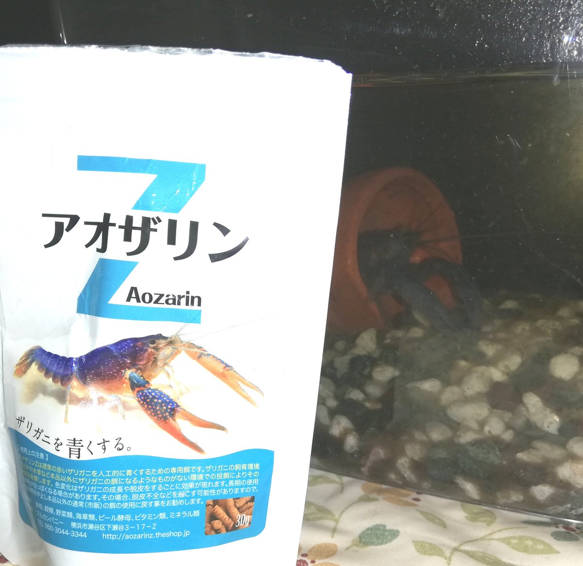 アオザリンz Twitter Search Twitter
