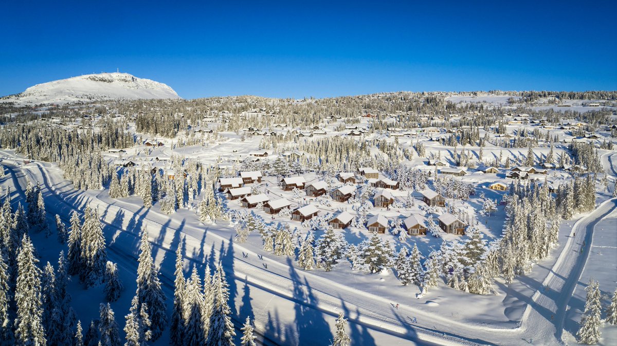 Sigssoft3D's tweet photo. Oversiktsillustrasjon for Trybygg og deres prosjekt Skeislia Familietun. Vi takker for nok et godt samarbeid!

Se også prosjektet på våre hjemmesider:
https://t.co/Z9yqaX4iLS

#3d #3dvisualisering #render #arkitektur #eksteriør #archviz #3dviz #illustration #3drender https://t.co/69HgPhPFlE
