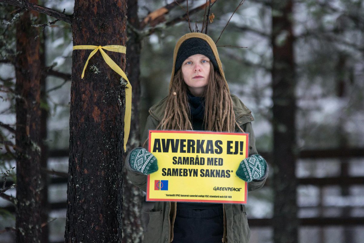 greenpeaceSTHLM's tweet photo. Våra volontärer ska försöka vara där länge till, för att skydda renbetesmarkerna och skogen runt Muonio Sameby från @Sveaskogs avverkning och kränkningar av samiska rättigheter! Sätt press på @Sveaskog att återuppta samråd med Muonio sameby! #StåuppförSápmi #Skyddaskogen #GPNvol https://t.co/u7d2y1gK5n