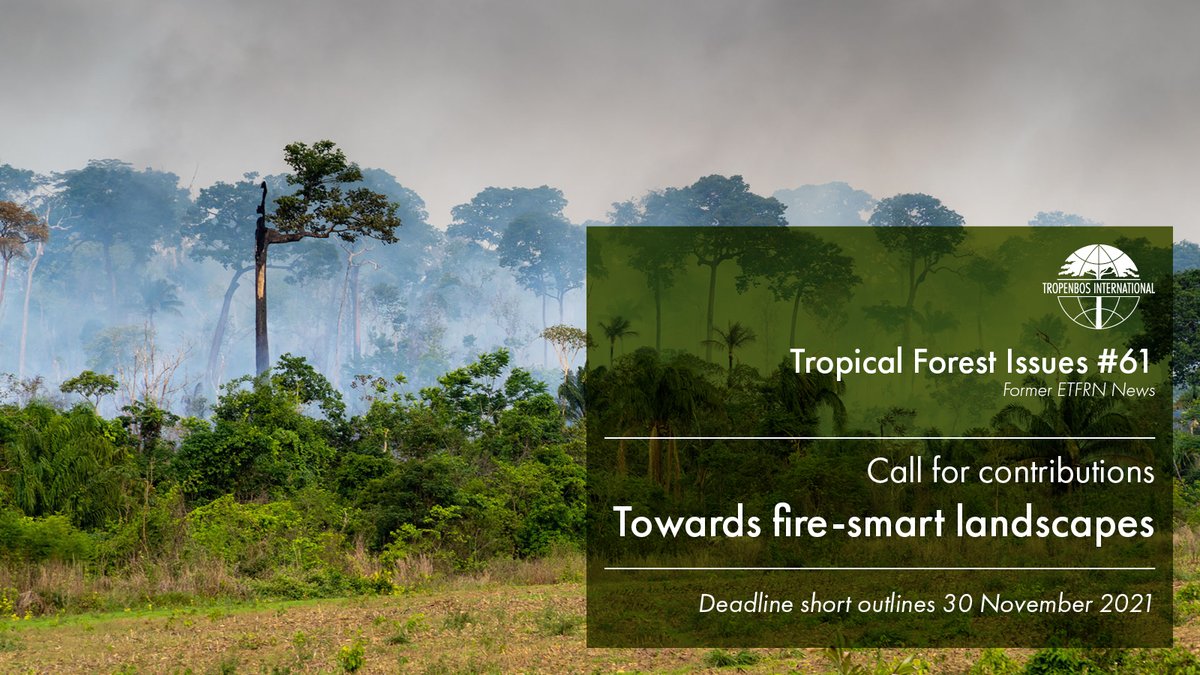Submit your story outline by 30 November 2021 on integrated fire management in tropical landscapes that address governance, landscape level implementation and local stakeholder participation for the next Tropical Forestry Issues #61 (formerly ETFRN news)➡️bit.ly/3jURoL4